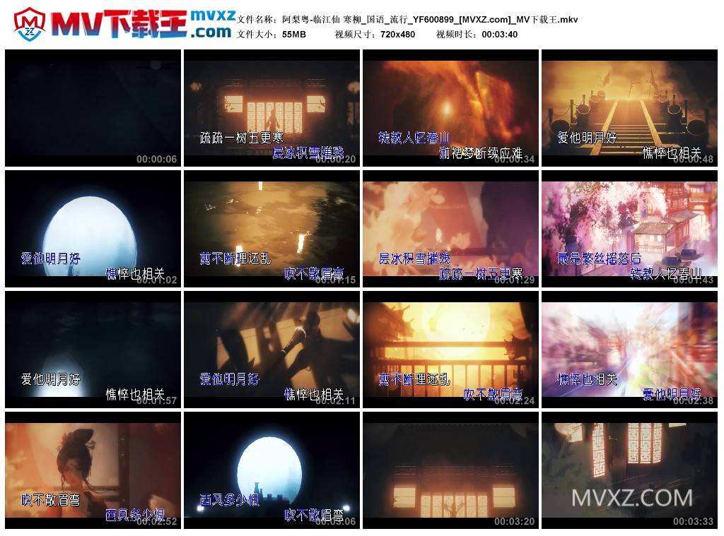 阿梨粤-临江仙 寒柳_国语_流行_YF600899
